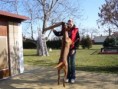 /album/fotogalerie/kdo-je-vetsi-jpg/